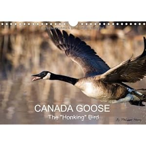 Chapka Canada Goose