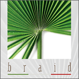 Braid
